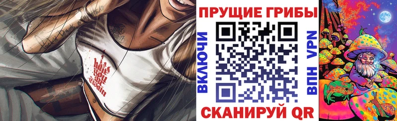 Псилоцибиновые грибы мухоморы  Поворино 